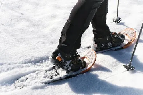 Guest house Haus Stampfer